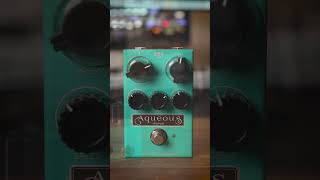 J. Rockett Aqueous Chorus in Action