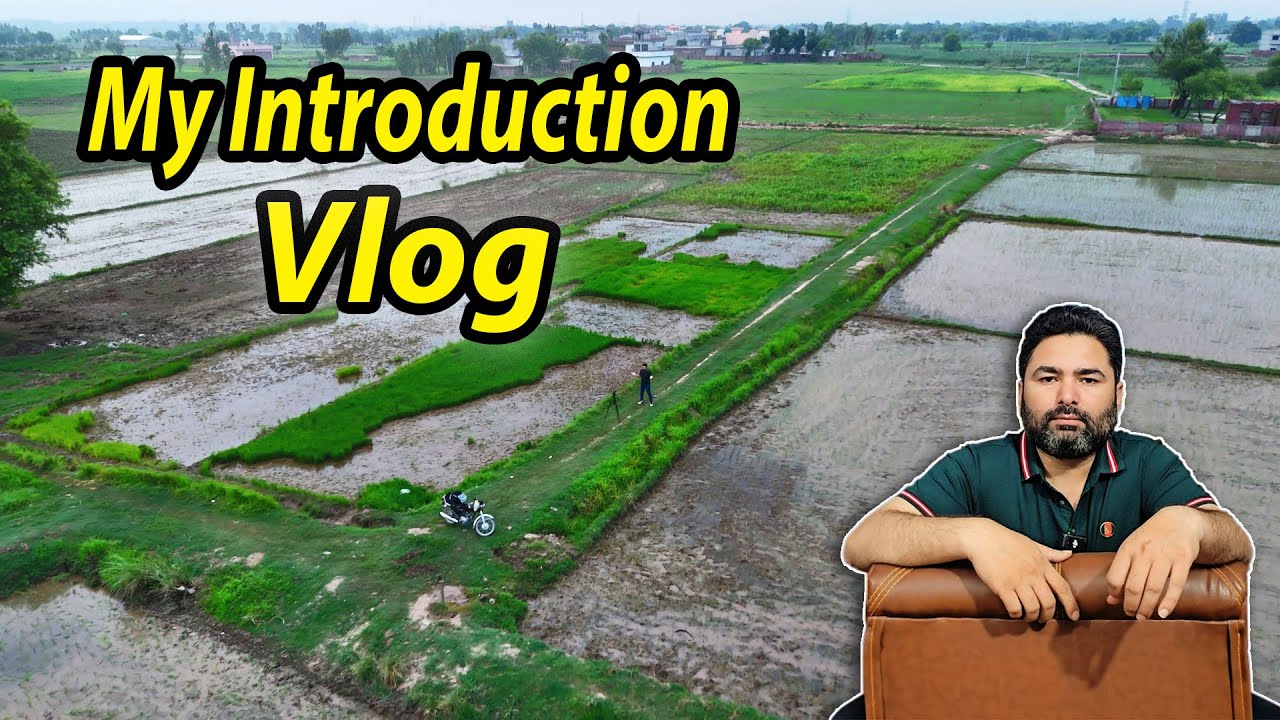 A closer look at Travel Vlog Ideas For Youtube With A Focus On Food