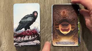 Animal Totem Tarot - Review!