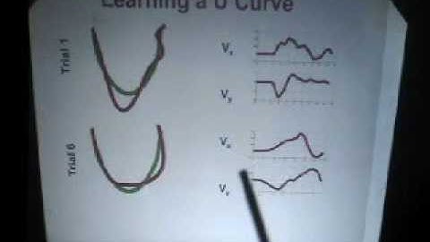 LINKING MIND TO BRAIN: A tutorial Lecture Series. Fourth Lecture, Part 2.