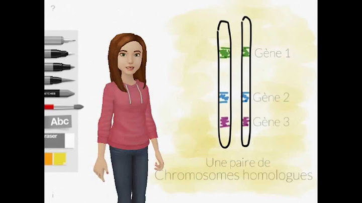 gène et allèle