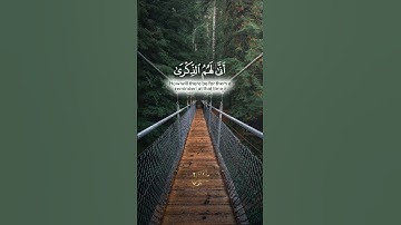 اكتب ما تؤجر عليه، وشارك الأجر🤍🌿#محمد_البراك #اسلام #الله #القرآن_الكريم #تلاوات #الصلاة  #محمدﷺ
