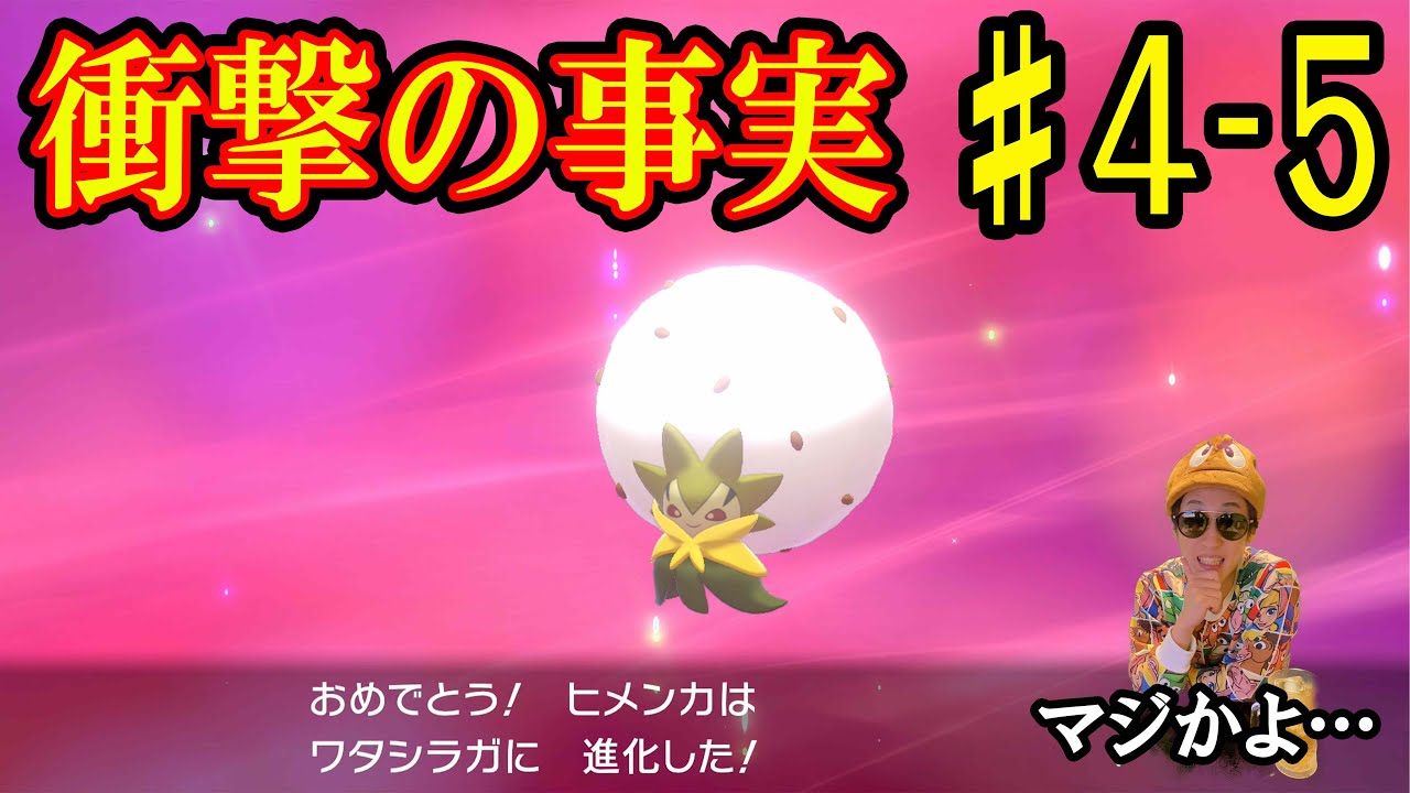 サッチムシ 進化