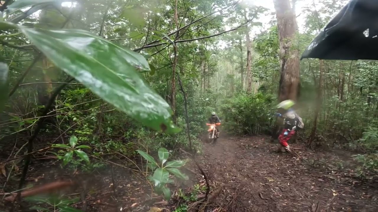 The Glen Guy Taking Teddy Bear Hill