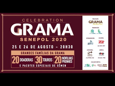 LOTE 10   GRAMA 2923