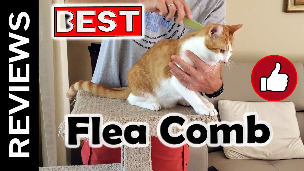 Best Flea and Ticks Comb for Cats YouTube