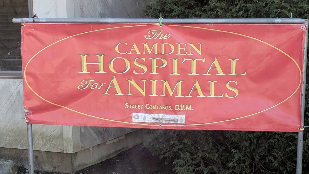 The Camden Hospital For Animals Bbb Accredited Business Video