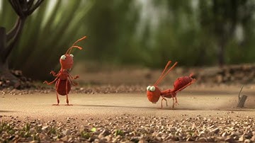 Stronger When We Work Together: Ants