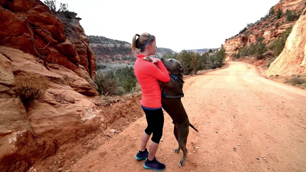 Visitors - Best Friends Animal Society
