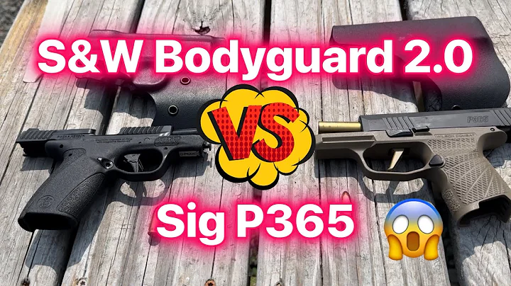 S&W Bodyguard 2.0 380 versus Sig P365 9mm?  A dumb comparison or the right question?