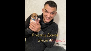 видео: В гостях У Джесси и Чесят \ Часть 2 картинка: В гостях У Джесси и Чесят \ Часть 2