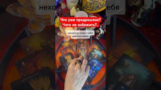 3 минуты назад ШОК.❗️💯 правда🔥 Что уже ПРЕДРЕШЕНО⁉️ Чего не избежать⁉️ таро расклад #shorts