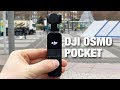 DJI OSMO POCKET - MEIN ERSTER EINDRUCK // Konkurrenz für die GoPro Hero7 Black ??? 4K60 fps