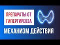 Как работают антитиреодные препараты? Механизм действия тиамазола (метимазола, мерказолила)