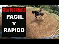 Como ensenar la parada a un caballo... Parte 2 Ceja (SERIE, DIA 74)