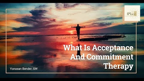 ACT Effectively: Introduction to Acceptance and Commitment Therapy