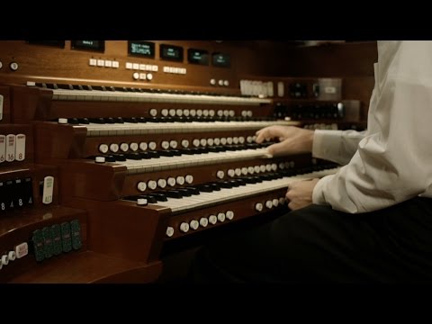 Video: Kateri organ prebavlja škrob?