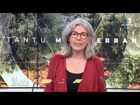 Image du reportage In Tantu du 09/05/2023 -  Méditerranée et environnement - Ambiente (France 3 Corse ViaStella)