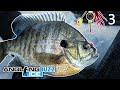 Ice Fishing Panfish – AnglingBuzz ICE