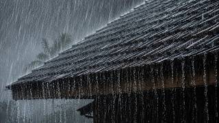 REAL Heavy Rain in a Tropical Village | You'll Be Asleep Before It Ends
