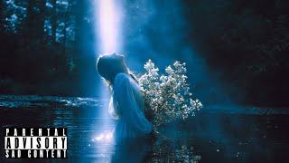 [FREE] Evanescence x Amira Elfeky Type Beat - Last Of Us