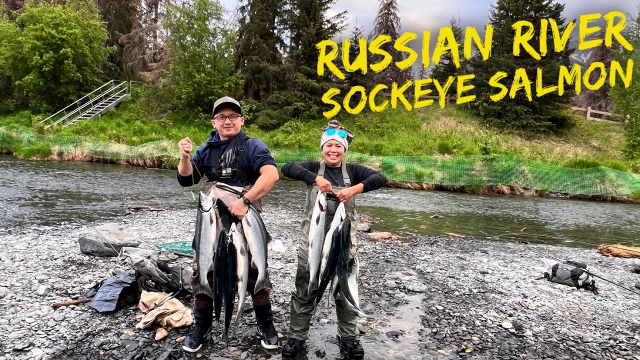 RUSSIAN RIVER COMBAT FISHING, SOCKEYE SALMON 2023