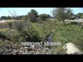 The Restoration of Long Creek. An Urban Stream Gets New Life.
