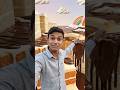 I Explored a Giant Cake World 🍰 | AI Fantasy Food Vlog #shorts #kartiknkvlogger