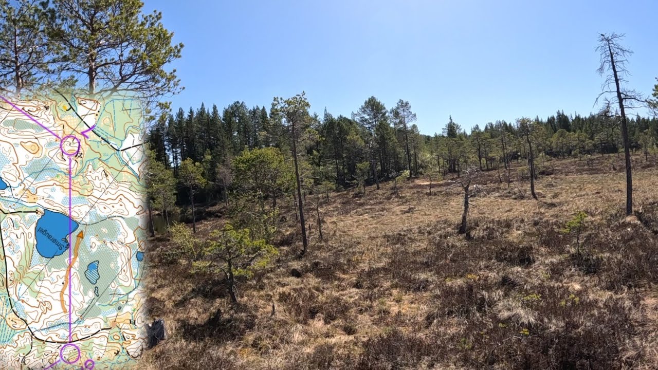 Vårløpet - Eskil Frøisland