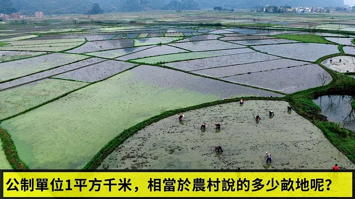 公制單位1平方千米，相當於農村說的多少畝地呢？ - 天天要聞