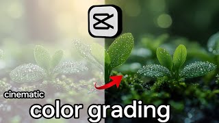 color grading capcut cinematiccolor //grading capcut mobile // Capcut me colour grading kaise kare screenshot 5