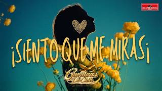 Grupo Gavilanes de Chile - Siento Que Me Miras