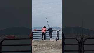 생활낚시터의 로또 대삼치를 올렸다 #일자방파제 #삼치루어