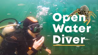 Получили сертификаты PADI🎉. Open Water Diver как это было.