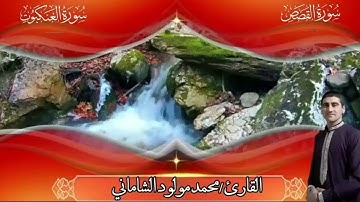 القارئ محمد مولود الشاماني تلاوة عراقية من الآية ٥١ سورة القصص إلى الآية ٨ من سورة العنكبوت