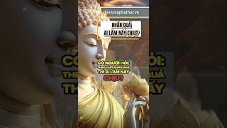 Nhân quả ai làm người đấy chịu!