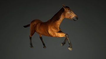 DazToHue - Horse 3 figure