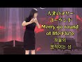 ハウルの動く城 フルートHowl’s Moving Castle/Merry go round of life Flute Cover