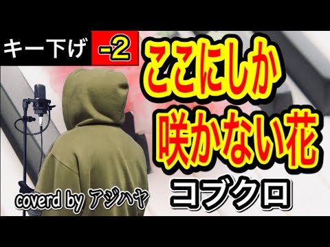 【キー下げ(-2)】ここにしか咲かない花  / コブクロ 【ピアノに合わせて歌ってみた】歌詞付き 低音男性キー