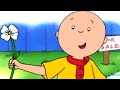 Caillou lindo | Caillou en Español Castellano