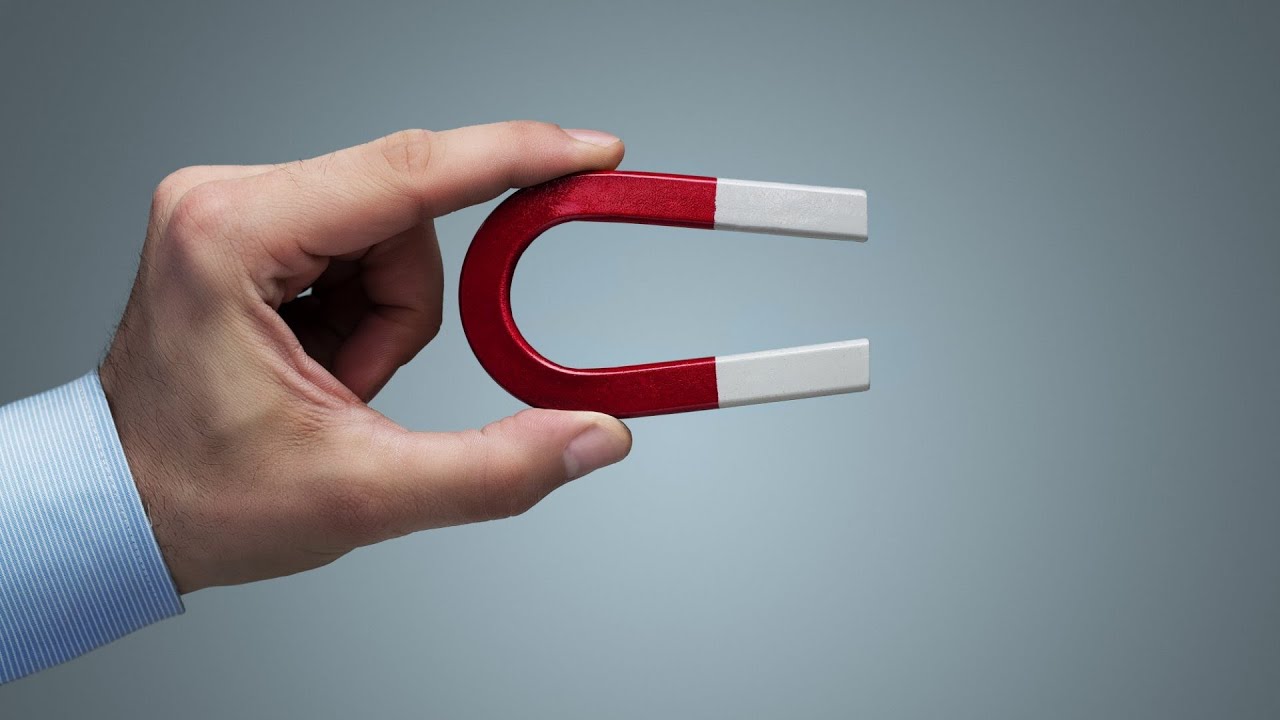 15 Compliment Magnet Fragrances (2022)