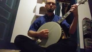 The Wind That Shakes the Barley / The Reel with the Beryl on Cello Banjo