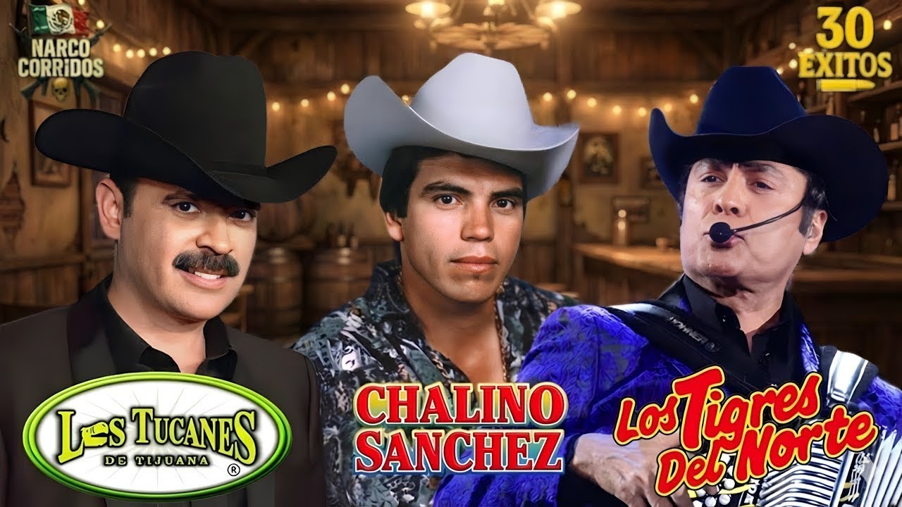 LOS TUCANES, CHALINO SÁNCHEZ, LOS TIGRES 🔥 30 Éxitos Narco Corridos Mix