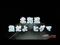 北海道のヒグマ 27秒
