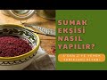 Sumak ekisi nasl yaplr  yemek tarifleri