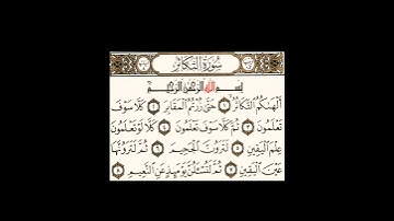 سورة التكاثر - الشيخ علي الحذيفي