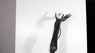 Clone Hand with Artificial Muscles, Range of Motion, August 2022
