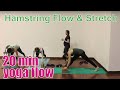 20 Minute Yoga Class - Hamstring Flow & Stretch