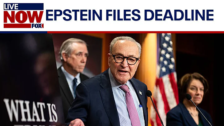 Democrats speak as Epstein files deadline looms