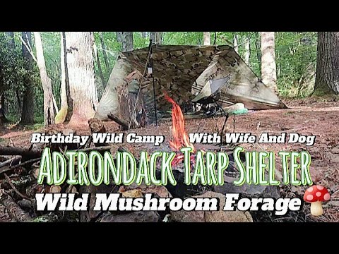 The Tarps I use for Bushcraft and Wild Camping.  My Top Five Tarp Shelter Set-ups.